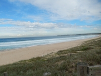 DSCN0107.jpg