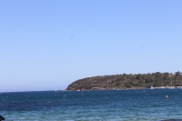 IMG_0729.jpg