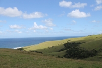 IMG_1689.jpg