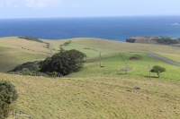 IMG_1719.jpg