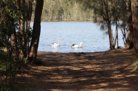 IMG_1729.jpg