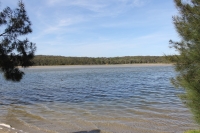 IMG_1734.jpg