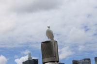 IMG_2063.jpg