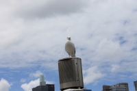 IMG_2064.jpg