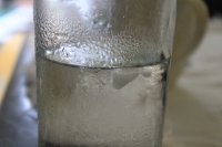IMG_6686.jpg