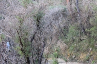 IMG_6946.jpg
