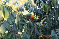 IMG_6975.jpg