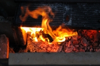 IMG_9936.jpg